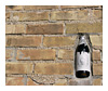 bottle in wall